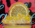Add Ons-Fake Ice & Fruit
