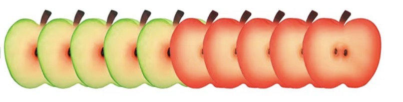 Add Ons-Fake Ice & Fruit